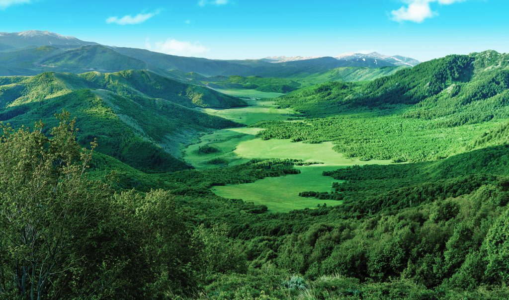 Home Cache Valley Creamery