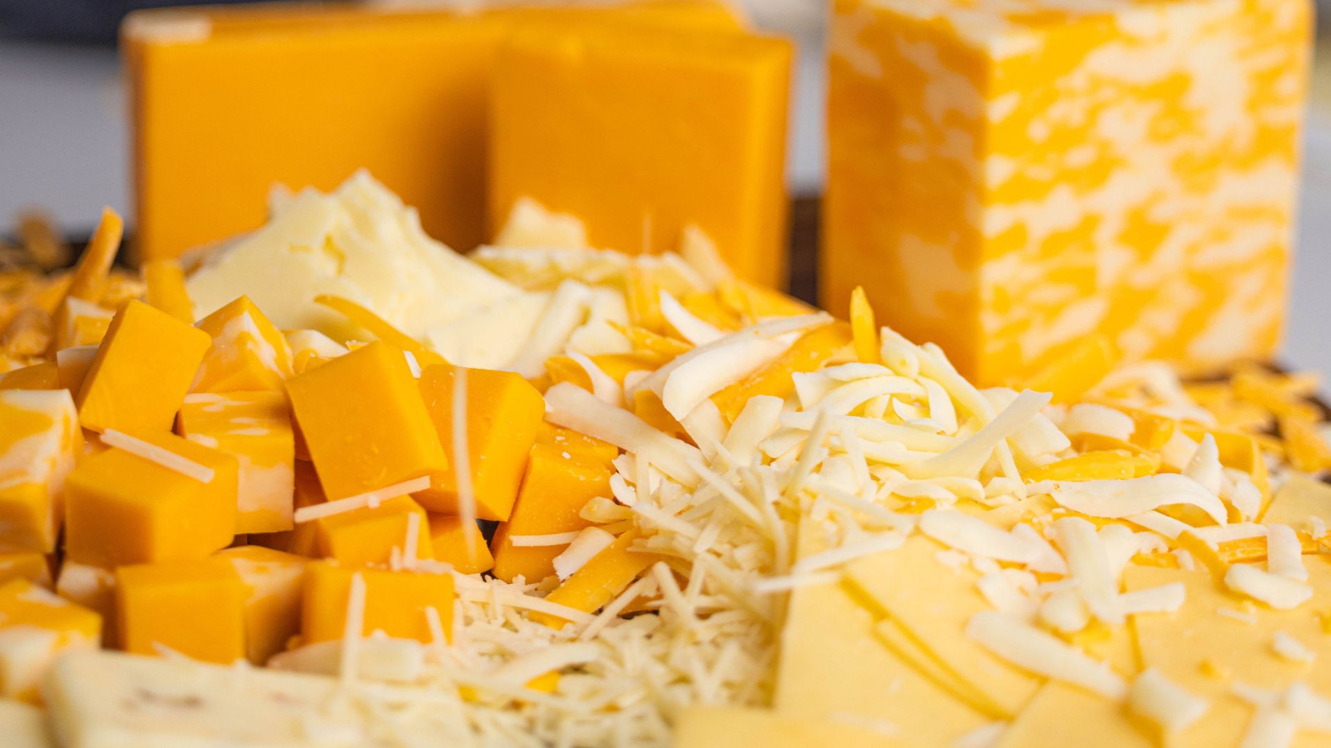 a selection of fresh Cache Valley cheeses